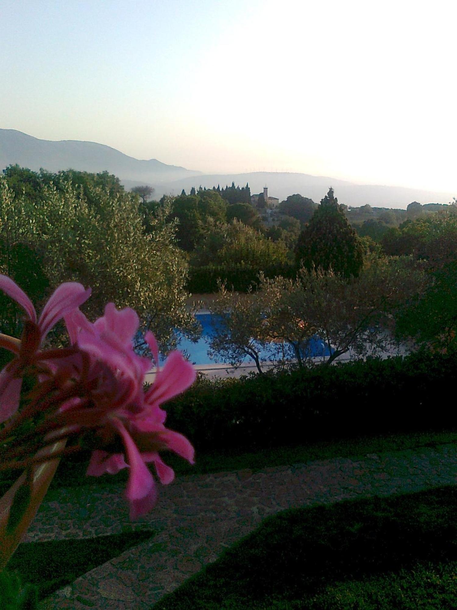 Bed and Breakfast Casale Degli Ulivi Prestige Altavilla Silentina Esterno foto