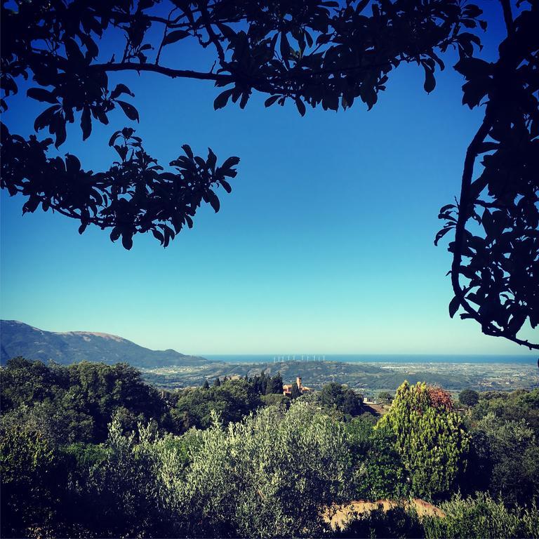 Bed and Breakfast Casale Degli Ulivi Prestige Altavilla Silentina Esterno foto