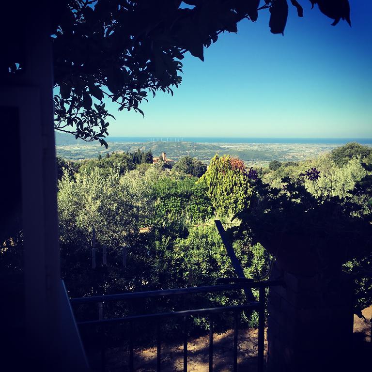 Bed and Breakfast Casale Degli Ulivi Prestige Altavilla Silentina Esterno foto